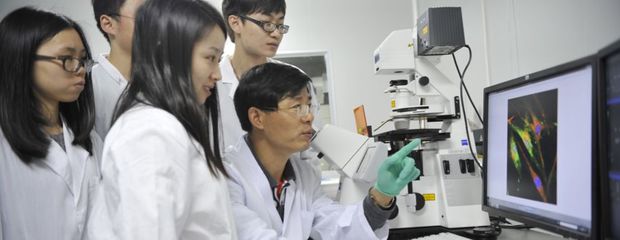 凍干大“肌”遇丨《凍干簡史》白皮書① 生物技術研究與開發(fā)