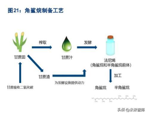 從研發與核心成分出發 生物技術驅動國貨美妝的星辰大海